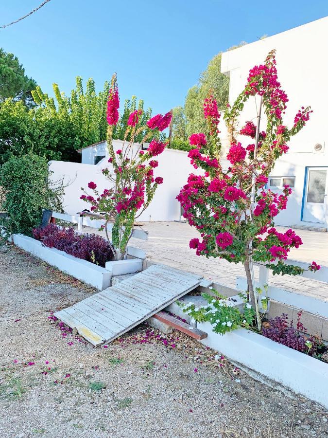 Apollonio Suites & Rooms Faliraki Rhodes Luaran gambar